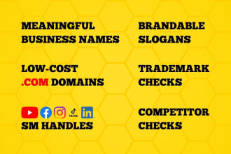 write meaningful business names, company names, slogans, check for cheap domains