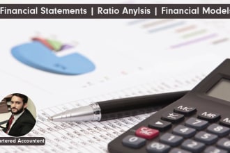 do financial statements ratio analysis financial model reporting
