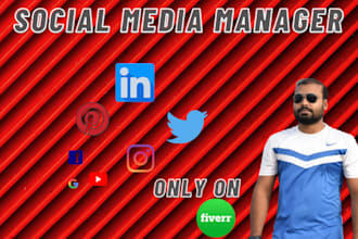 be your social media marketing manager and content creator