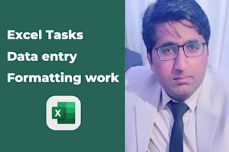 manage excel tasks, data entry, and formatting work