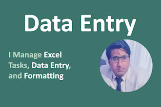 manage excel tasks, data entry, and formatting work