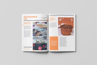 design, format any ms word and adobe indesign project