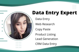 do fast and perfect data entry and web research