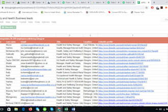 find emails for leads of company like ceo, coo, cio, cmo etc