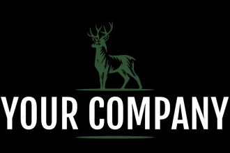 make you a clean business logo for a cheap price