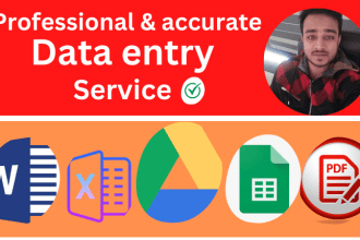 do excel data entry, web research, copy paste