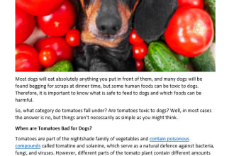write high quality seo optimised veterinary related articles and blog posts