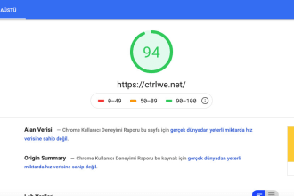 edit wordpress page speed