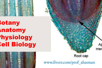 research and assist you in anatomy, physiology and cell biology