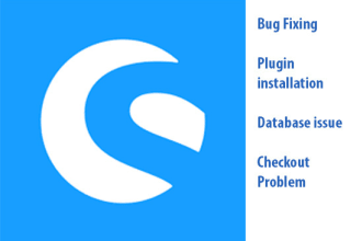do fix your shopware bug