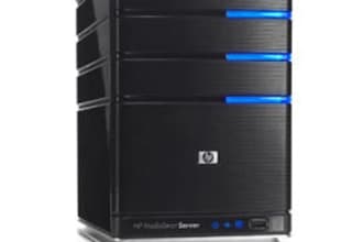 upload or move your website to the hosting server within 48 hrs