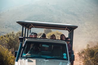 be your tour guide in any city, for any tour