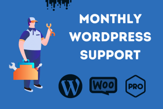 提供每月WordPress维护，支持和技术帮助