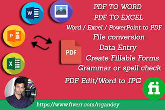 do pdf conversion PDF to word, excel, powerpoint, jpg