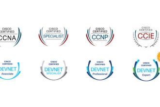 provide any IT network and security support