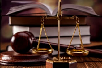 assist in legal research, business law, case brief, articles, contracts, essays