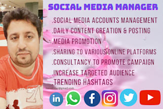 provide social media and IT management services