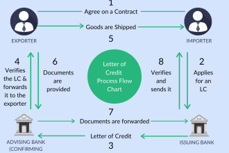check lc clauses for export import