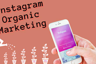 grow your instagram  organically