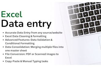 do excel data entry