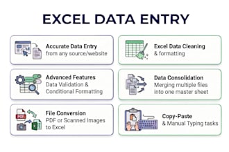 do excel data entry
