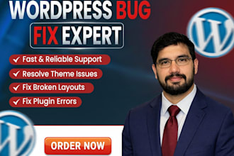 repair wordpress, fix bugs, errors and issues with pro support