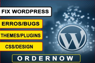 repair wordpress, fix bugs, errors and issues with pro support