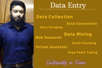 do all sorts of data entry and web research job perfectly