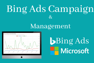 setup bing search and shopping ads campaign