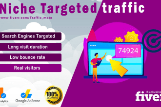 send your website niche targeted organic visitors