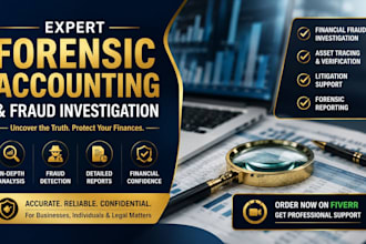 perform forensic accounting and fraud investigation