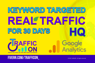 drive organic and targeted website traffic from google