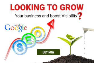 rank keywords with expert on page, technical and off page SEO service