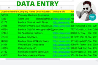 copy paste, excel data entry, typing, data entry