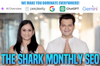 do monthly SEO service with contextual links to increase DR and top rankings