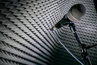 record a professional voice in spanish for you
