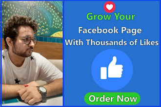 grow your page likes by facebook ads