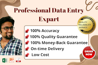 do fast accurate data entry, typing, copy paste and web research