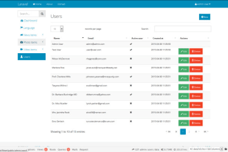 fix, design and develop websites with laravel