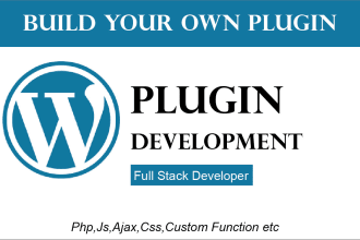 build a custom plugin and do custom programming in wordpress