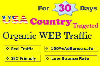 provide the organic USA targeted unlimited web traffic