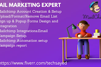 do any email template newsletter design within a day