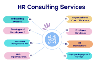 be your expert HR consultant on org structure, policies and all HR needs