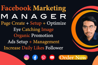 be your facebook marketing manager fb ads campaign, instagram meta ads