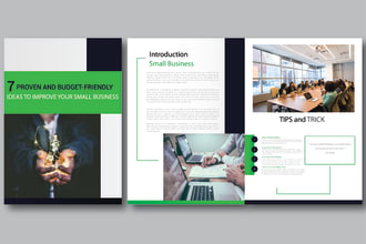 do professional PDF lead magnet ,workbook and brochure
