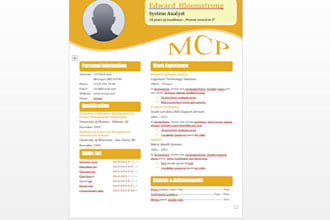 design premium quality resume and CV