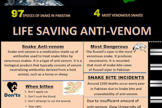 design a scientific research poster and brochure for you