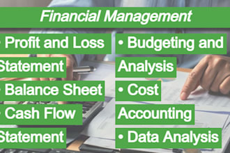 do financial reporting, analysis, cash flow reporting, budget forecasting