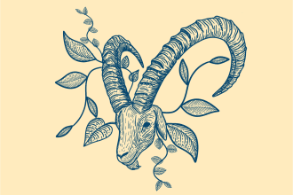 do line art for clothing design