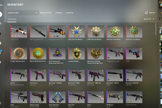 coach and play with you on cs2 including movement